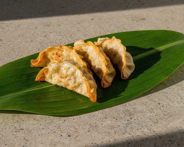 Veggie Gyoza